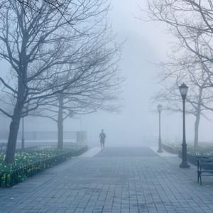 Meet your Posher, Helen